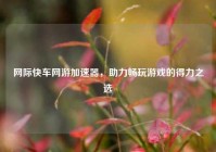网际快车网游加速器，助力畅玩游戏的得力之选