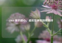 CSGO 里的惑心，虚拟世界的别样羁绊
