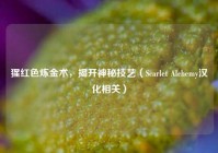 猩红色炼金术，揭开神秘技艺（Scarlet Alchemy汉化相关）
