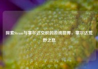 探索Steam与塞尔达交织的游戏世界，塞尔达荒野之息