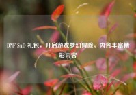 DNF SAO 礼包，开启游戏梦幻冒险，内含丰富精彩内容