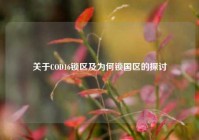 关于COD16锁区及为何锁国区的探讨