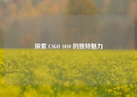 探索 CSGO 1010 的独特魅力