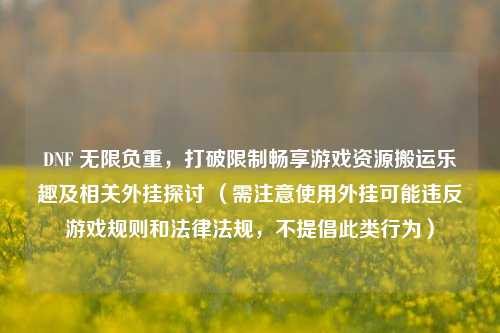 DNF 无限负重，打破限制畅享游戏资源搬运乐趣及相关外挂探讨 （需注意使用外挂可能违反游戏规则和法律法规，不提倡此类行为）