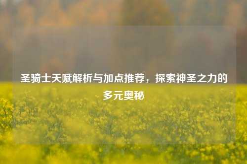 圣骑士天赋解析与加点推荐，探索神圣之力的多元奥秘