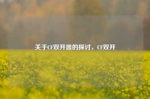 关于CF双开器的探讨，CF双开