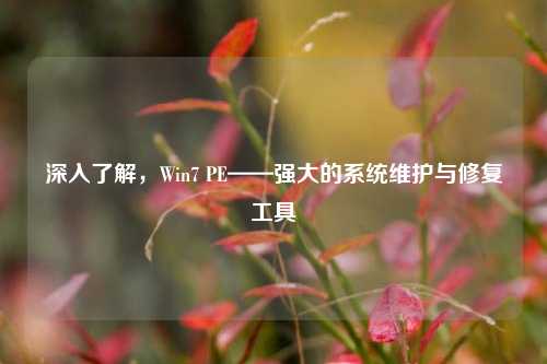 深入了解，Win7 PE——强大的系统维护与修复工具