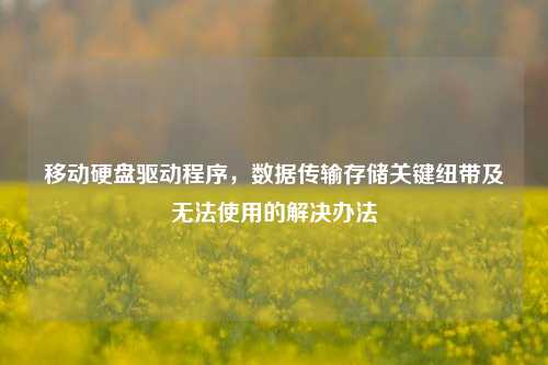移动硬盘驱动程序，数据传输存储关键纽带及无法使用的解决办法