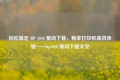轻松搞定 HP 1010 驱动下载，畅享打印机高效体验——hp1010 驱动下载天空