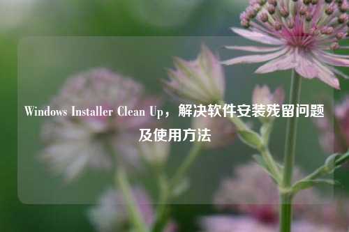 Windows Installer Clean Up，解决软件安装残留问题及使用方法