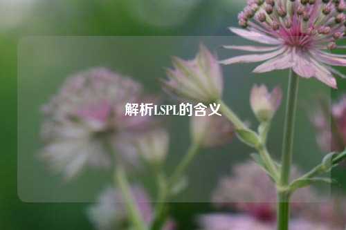 解析LSPL的含义