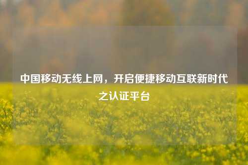 中国移动无线上网,开启便捷移动互联新时代之认证平台