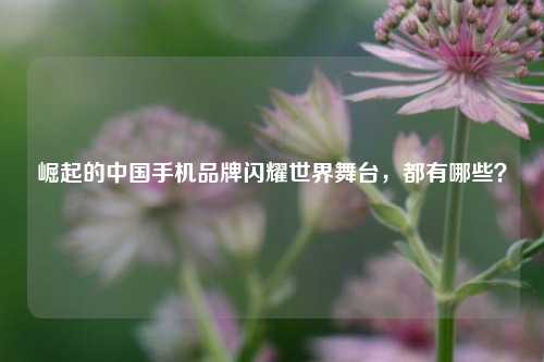 崛起的中国手机品牌闪耀世界舞台，都有哪些？
