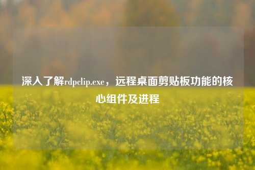 深入了解rdpclip.exe，远程桌面剪贴板功能的核心组件及进程