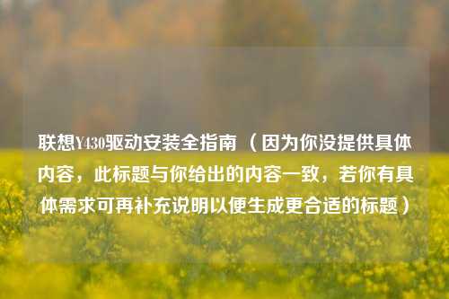 联想Y430驱动安装全指南 （因为你没提供具体内容，此标题与你给出的内容一致，若你有具体需求可再补充说明以便生成更合适的标题）