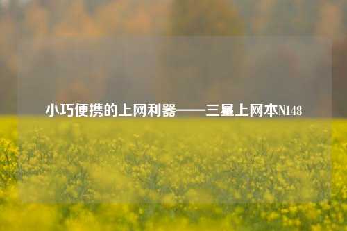 小巧便携的上网利器——三星上网本N148