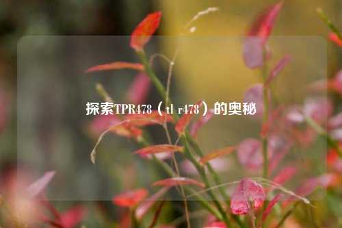 探索TPR478（tl r478）的奥秘