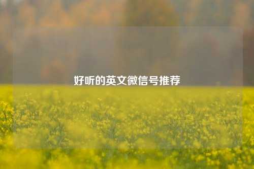 好听的英文微信号推荐