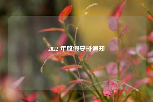 2022 年放假安排通知