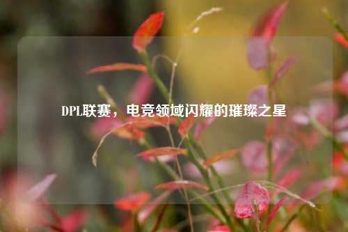 DPL联赛，电竞领域闪耀的璀璨之星