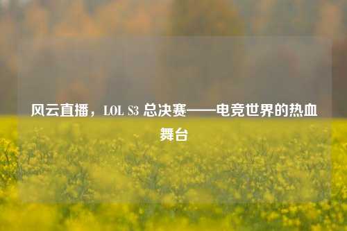 风云直播，LOL S3 总决赛——电竞世界的热血舞台