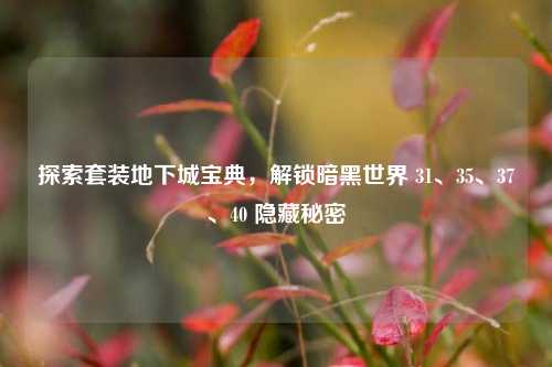探索套装地下城宝典，解锁暗黑世界 31、35、37、40 隐藏秘密