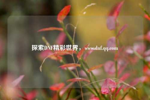 探索DNF精彩世界，www.dnf.qq.com