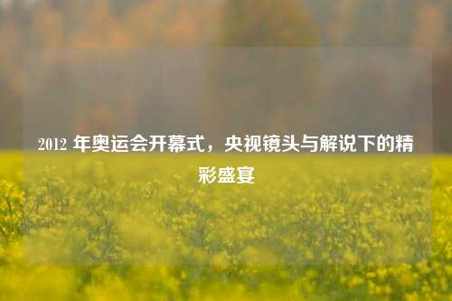 2012 年奥运会开幕式,央视镜头与解说下的精彩盛宴
