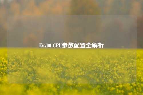 E6700 CPU参数配置全解析