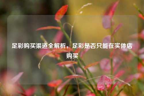 足彩购买渠道全解析，足彩是否只能在实体店购买