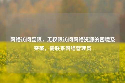 网络访问受限，无权限访问网络资源的困境及突破，需联系网络管理员