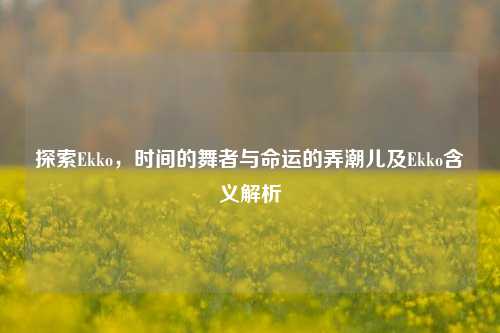探索Ekko，时间的舞者与命运的弄潮儿及Ekko含义解析