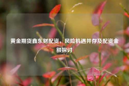 黄金期货鑫东财配资，风险机遇并存及配资金额探讨