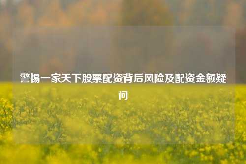 警惕一家天下股票配资背后风险及配资金额疑问