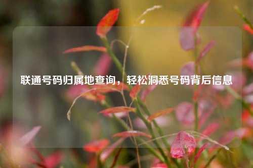 联通号码归属地查询，轻松洞悉号码背后信息