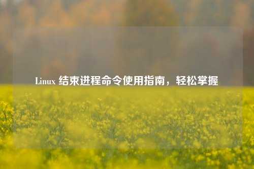 Linux 结束进程命令使用指南,轻松掌握