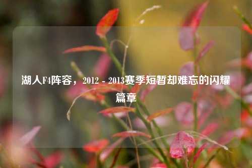 湖人F4阵容，2012 - 2013赛季短暂却难忘的闪耀篇章