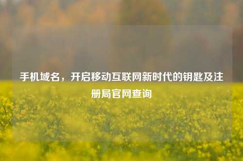 手机域名，开启移动互联网新时代的钥匙及注册局官网查询