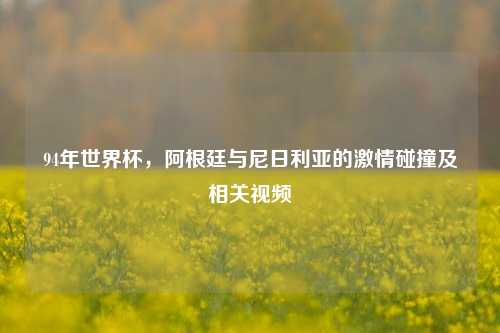 94年世界杯，阿根廷与尼日利亚的激情碰撞及相关视频