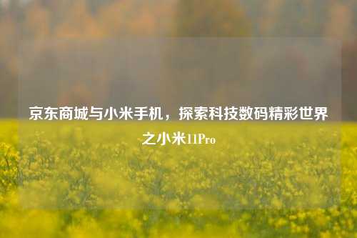 京东商城与小米手机，探索科技数码精彩世界之小米11Pro
