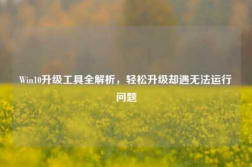 Win10升级工具全解析，轻松升级却遇无法运行问题