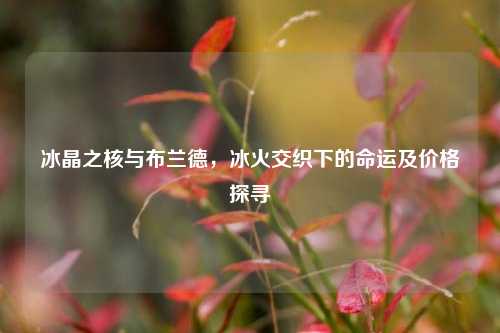 冰晶之核与布兰德，冰火交织下的命运及价格探寻