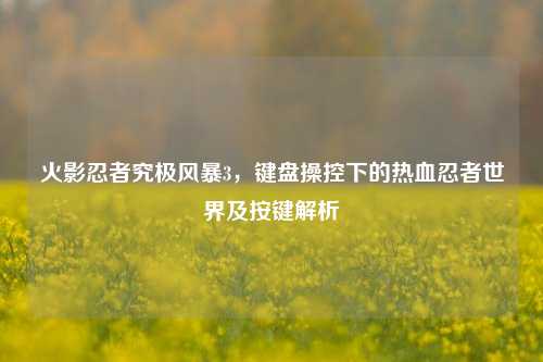 火影忍者究极风暴3，键盘操控下的热血忍者世界及按键解析