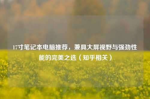 17寸笔记本电脑推荐，兼具大屏视野与强劲性能的完美之选（知乎相关）