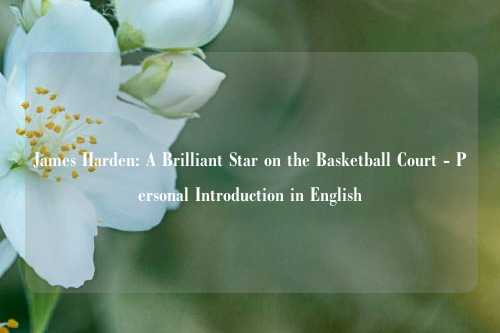 James Harden: A Brilliant Star on the Basketball Court - Personal Introduction in English