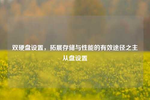 双硬盘设置，拓展存储与性能的有效途径之主从盘设置
