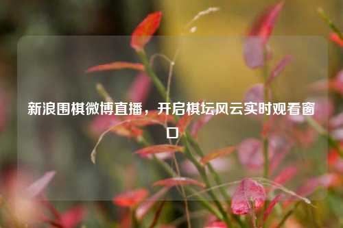 新浪围棋微博直播，开启棋坛风云实时观看窗口