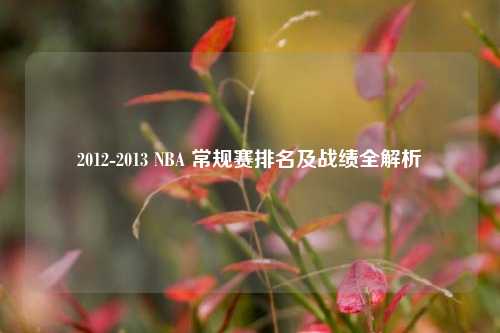 2012-2013 NBA 常规赛排名及战绩全解析