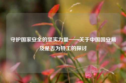 守护国家安全的坚实力量——关于中国国安局及是否为特工的探讨