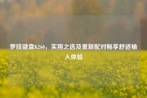 罗技键盘K260，实用之选及重新配对畅享舒适输入体验